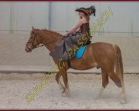 1AMAZONE- 0097